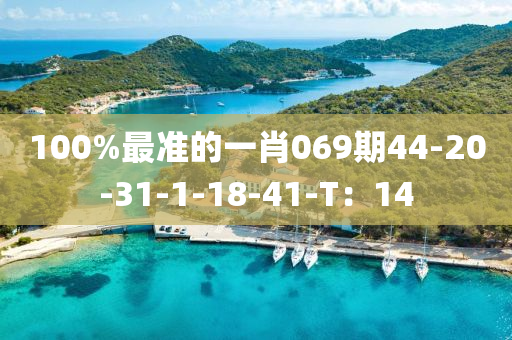 100%最準的一肖069期44-20-31-1-18-41-T：14