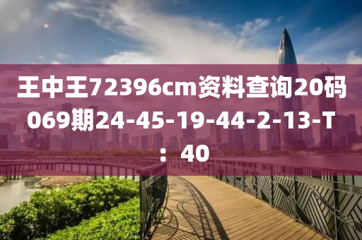 王中王72396cm資料查詢20碼069期24-45-19-44-2-13-T：40