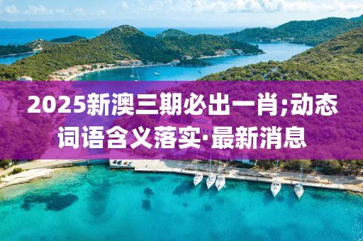 2025新澳三期必出一肖;動態(tài)詞語含義落實·最新消息