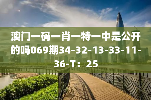 澳門一碼一肖一特一中是公開的嗎069期34-32-13-33-11-36-T：25