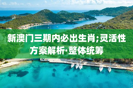 新澳門三期內必出生肖;靈活性方案解析·整體統(tǒng)籌