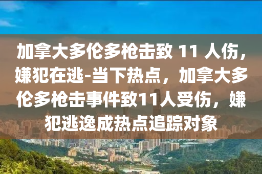 加拿大多倫多槍擊致 11 人傷，嫌犯在逃-當(dāng)下熱點(diǎn)，加拿大多倫多槍擊事件致11人受傷，嫌犯逃逸成熱點(diǎn)追蹤對(duì)象