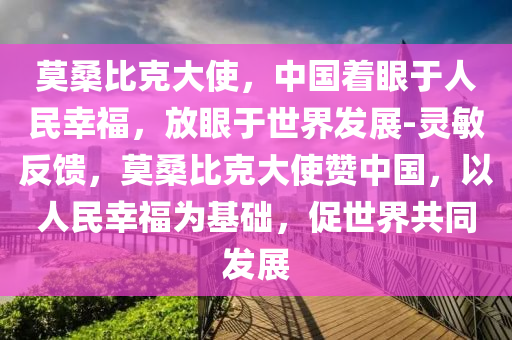 莫桑比克大使，中國著眼于人民幸福，放眼于世界發(fā)展-靈敏反饋，莫桑比克大使贊中國，以人民幸福為基礎(chǔ)，促世界共同發(fā)展