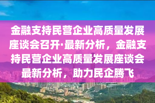 金融支持民營企業(yè)高質(zhì)量發(fā)展座談會召開·最新分析，金融支持民營企業(yè)高質(zhì)量發(fā)展座談會最新分析，助力民企騰飛