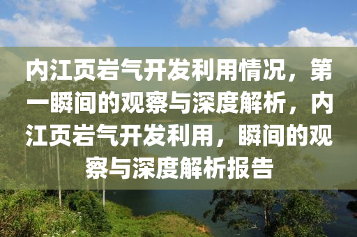 內(nèi)江頁巖氣開發(fā)利用情況，第一瞬間的觀察與深度解析，內(nèi)江頁巖氣開發(fā)利用，瞬間的觀察與深度解析報(bào)告