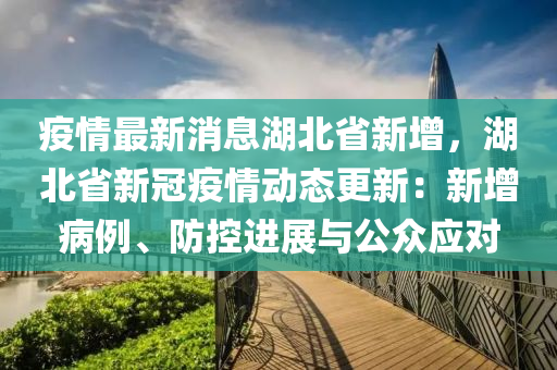 疫情最新消息湖北省新增，湖北省新冠疫情動(dòng)態(tài)更新：新增病例、防控進(jìn)展與公眾應(yīng)對