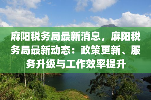 麻陽稅務(wù)局最新消息，麻陽稅務(wù)局最新動態(tài)：政策更新、服務(wù)升級與工作效率提升