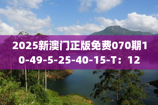 2025新澳門正版免費070期10-49-5-25-40-15-T：12