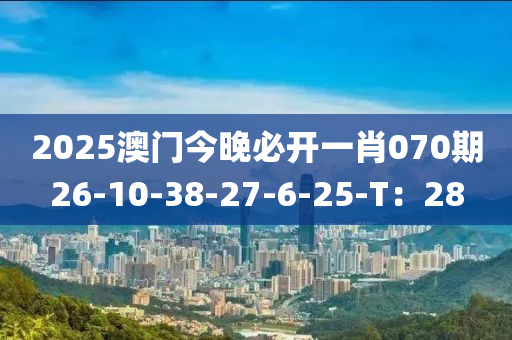 2025澳門今晚必開一肖070期26-10-38-27-6-25-T：28