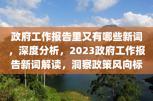 政府工作報(bào)告里又有哪些新詞，深度分析，2023政府工作報(bào)告新詞解讀，洞察政策風(fēng)向標(biāo)