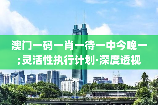 澳門一碼一肖一待一中今晚一;靈活性執(zhí)行計(jì)劃·深度透視