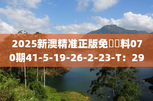 2025新澳精準(zhǔn)正版免費(fèi)資料070期41-5-19-26-2-23-T：29