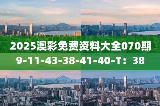 2025澳彩免費資料大全070期9-11-43-38-41-40-T：38