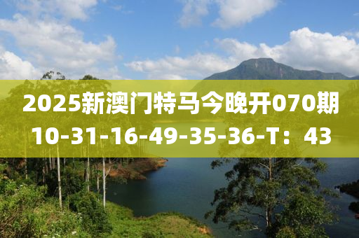 2025年3月11日 第106頁