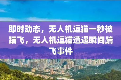 即時動態(tài)，無人機逗貓一秒被踹飛，無人機逗貓遭遇瞬間踹飛事件