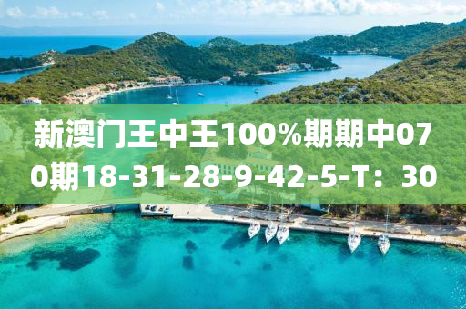 新澳門王中王100%期期中070期18-31-28-9-42-5-T：30