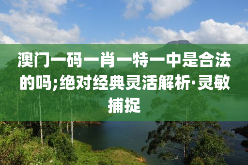 澳門一碼一肖一特一中是合法的嗎;絕對經(jīng)典靈活解析·靈敏捕捉