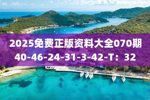 2025免費(fèi)正版資料大全070期40-46-24-31-3-42-T：32