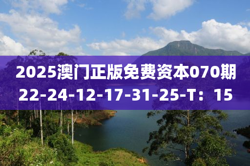 2025澳門正版免費(fèi)資本070期22-24-12-17-31-25-T：15