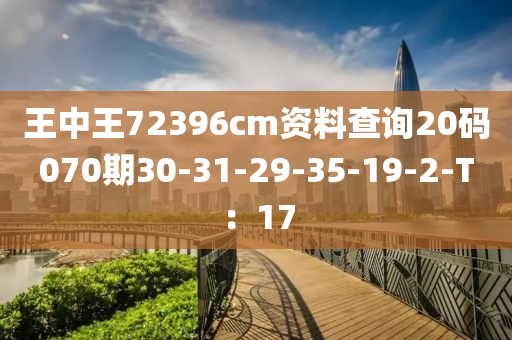 王中王72396cm資料查詢20碼070期30-31-29-35-19-2-T：17