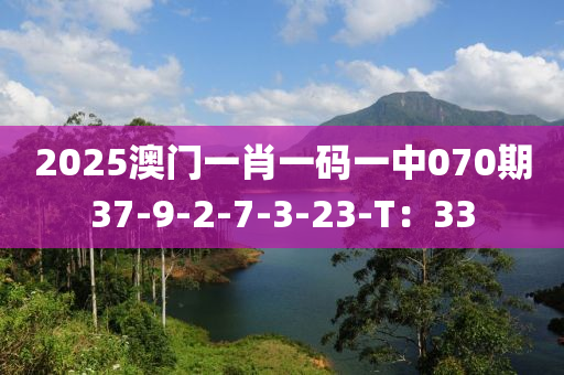 2025澳門一肖一碼一中070期37-9-2-7-3-23-T：33