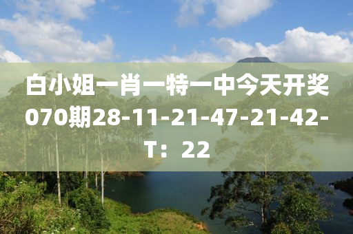 白小姐一肖一特一中今天開獎(jiǎng)070期28-11-21-47-21-42-T：22