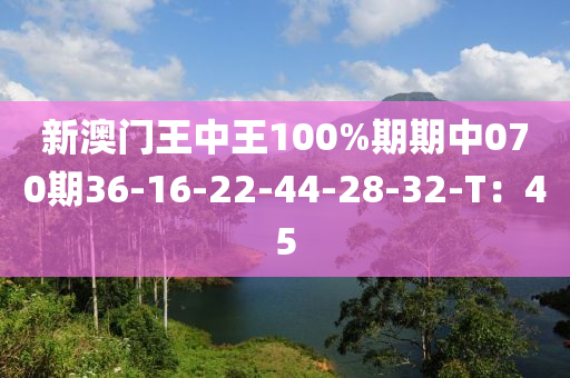 新澳門王中王100%期期中070期36-16-22-44-28-32-T：45