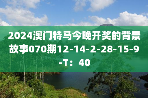 2024澳門特馬今晚開獎(jiǎng)的背景故事070期12-14-2-28-15-9-T：40