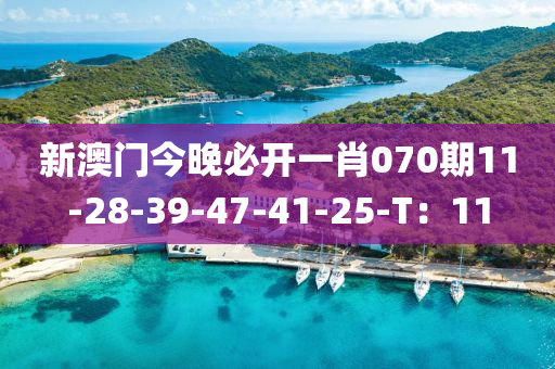 新澳門今晚必開一肖070期11-28-39-47-41-25-T：11