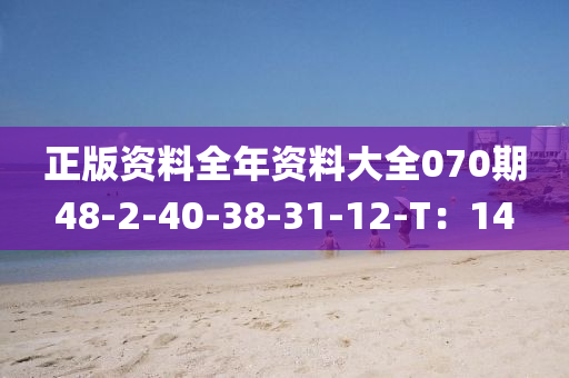 正版資料全年資料大全070期48-2-40-38-31-12-T：14