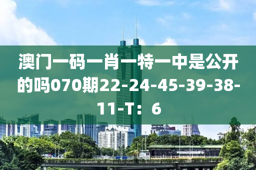 澳門(mén)一碼一肖一特一中是公開(kāi)的嗎070期22-24-45-39-38-11-T：6