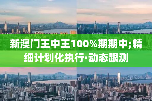 新澳門王中王100%期期中;精細計劃化執(zhí)行·動態(tài)跟測