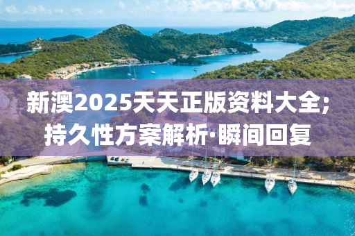 新澳2025天天正版資料大全;持久性方案解析·瞬間回復(fù)