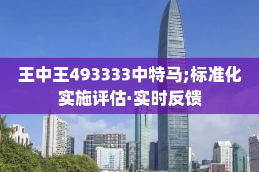 王中王493333中特馬;標準化實施評估·實時反饋