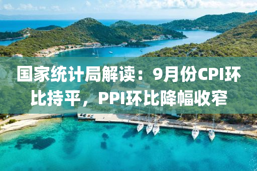 國家統(tǒng)計(jì)局解讀：9月份CPI環(huán)比持平，PPI環(huán)比降幅收窄