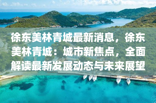 徐東美林青城最新消息，徐東美林青城：城市新焦點，全面解讀最新發(fā)展動態(tài)與未來展望