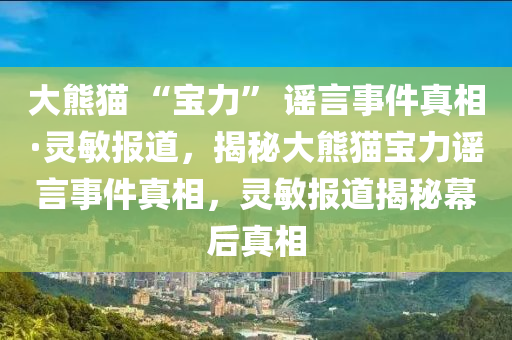 大熊貓 “寶力” 謠言事件真相·靈敏報道，揭秘大熊貓寶力謠言事件真相，靈敏報道揭秘幕后真相