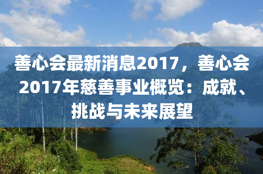 善心會(huì)最新消息2017，善心會(huì)2017年慈善事業(yè)概覽：成就、挑戰(zhàn)與未來展望