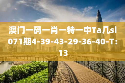 澳門(mén)一碼一肖一特一中Ta幾si071期4-39-43-29-36-40-T：13