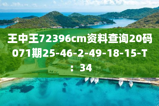 王中王72396cm資料查詢20碼071期25-46-2-49-18-15-T：34