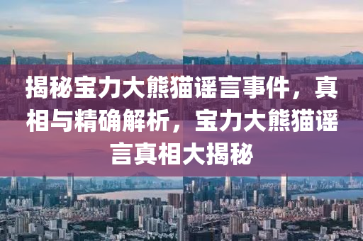 揭秘寶力大熊貓謠言事件，真相與精確解析，寶力大熊貓謠言真相大揭秘