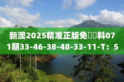 新澳2025精準(zhǔn)正版免費(fèi)資料071期33-46-38-48-33-11-T：5