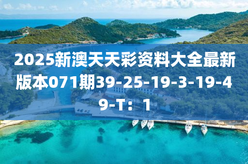 2025新澳天天彩資料大全最新版本071期39-25-19-3-19-49-T：1