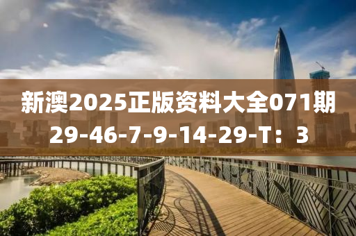 新澳2025正版資料大全071期29-46-7-9-14-29-T：3