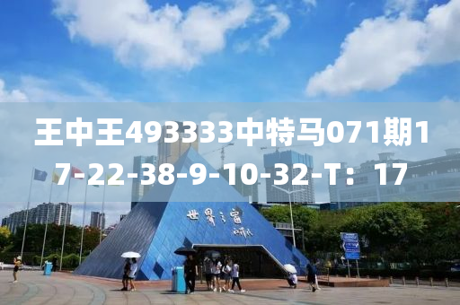 王中王493333中特馬071期17-22-38-9-10-32-T：17