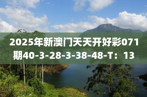 2025年新澳門天天開好彩071期40-3-28-3-38-48-T：13