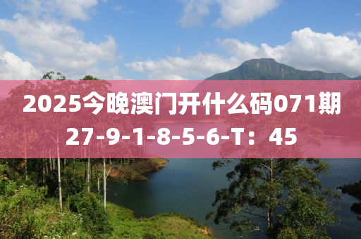 2025今晚澳門開什么碼071期27-9-1-8-5-6-T：45