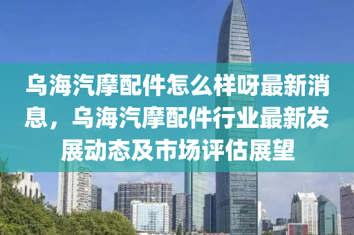 烏海汽摩配件怎么樣呀最新消息，烏海汽摩配件行業(yè)最新發(fā)展動(dòng)態(tài)及市場(chǎng)評(píng)估展望