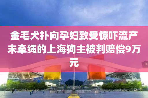 金毛犬撲向孕婦致受驚嚇流產(chǎn)未牽繩的上海狗主被判賠償9萬元