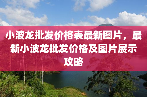 小波龍批發(fā)價(jià)格表最新圖片，最新小波龍批發(fā)價(jià)格及圖片展示攻略